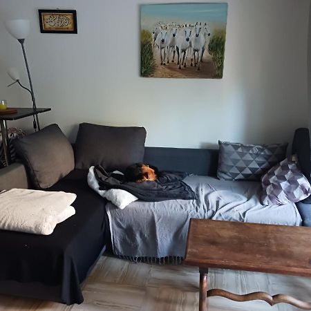 Rez-De-Jardin Grand Studio Διαμέρισμα Cros-de-Cagnes Εξωτερικό φωτογραφία