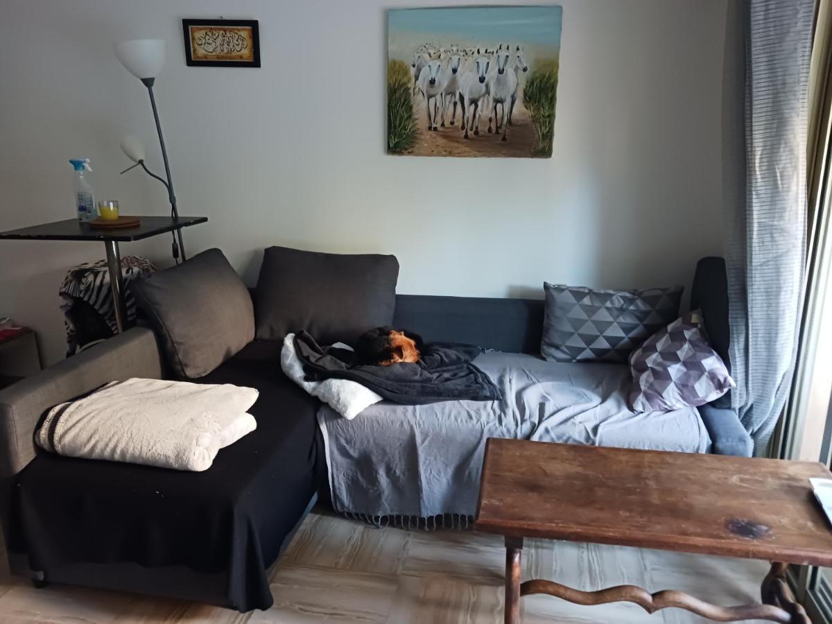 Rez-De-Jardin Grand Studio Διαμέρισμα Cros-de-Cagnes Εξωτερικό φωτογραφία